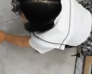 Clip hot bốc phốt cuộc sống chăn dắt thú cưng của giới thượng lưu