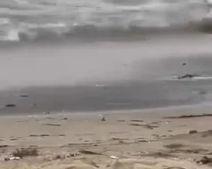 Hai anh chị phang phập nhau giữa biển Sầm Sơn kìa