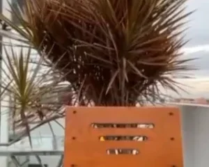 Mấy em gái giờ bạo quá, cứ thích mang trứng rung nhét bím nơi công cộng…