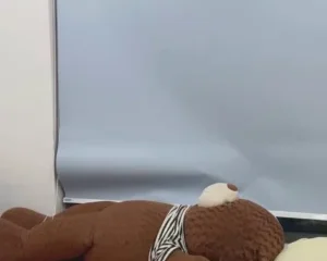 Tạ Thanh Nhi dáng đẹp da trắng tại YYlive